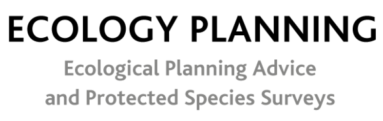 Ecology Planning